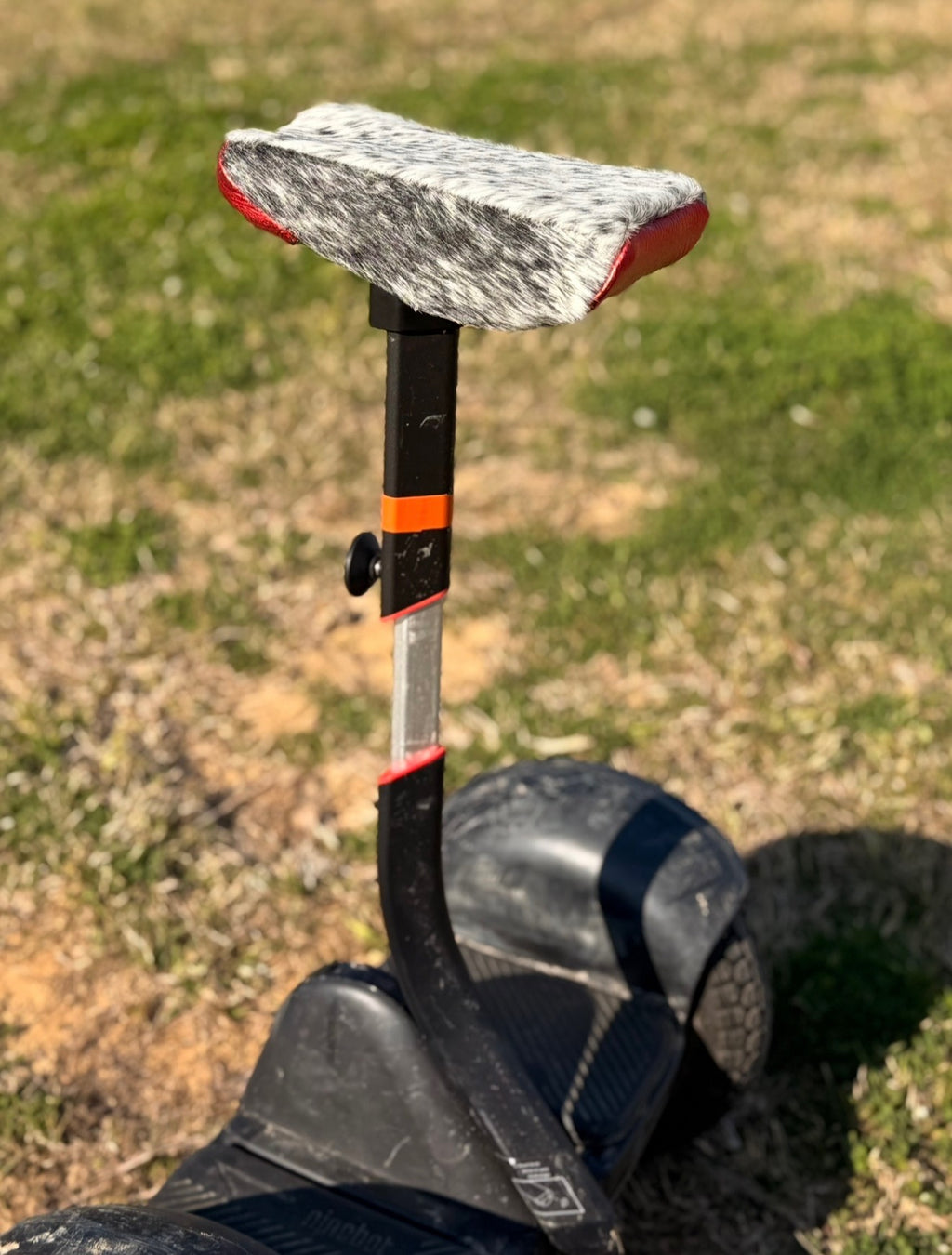 Segway cover