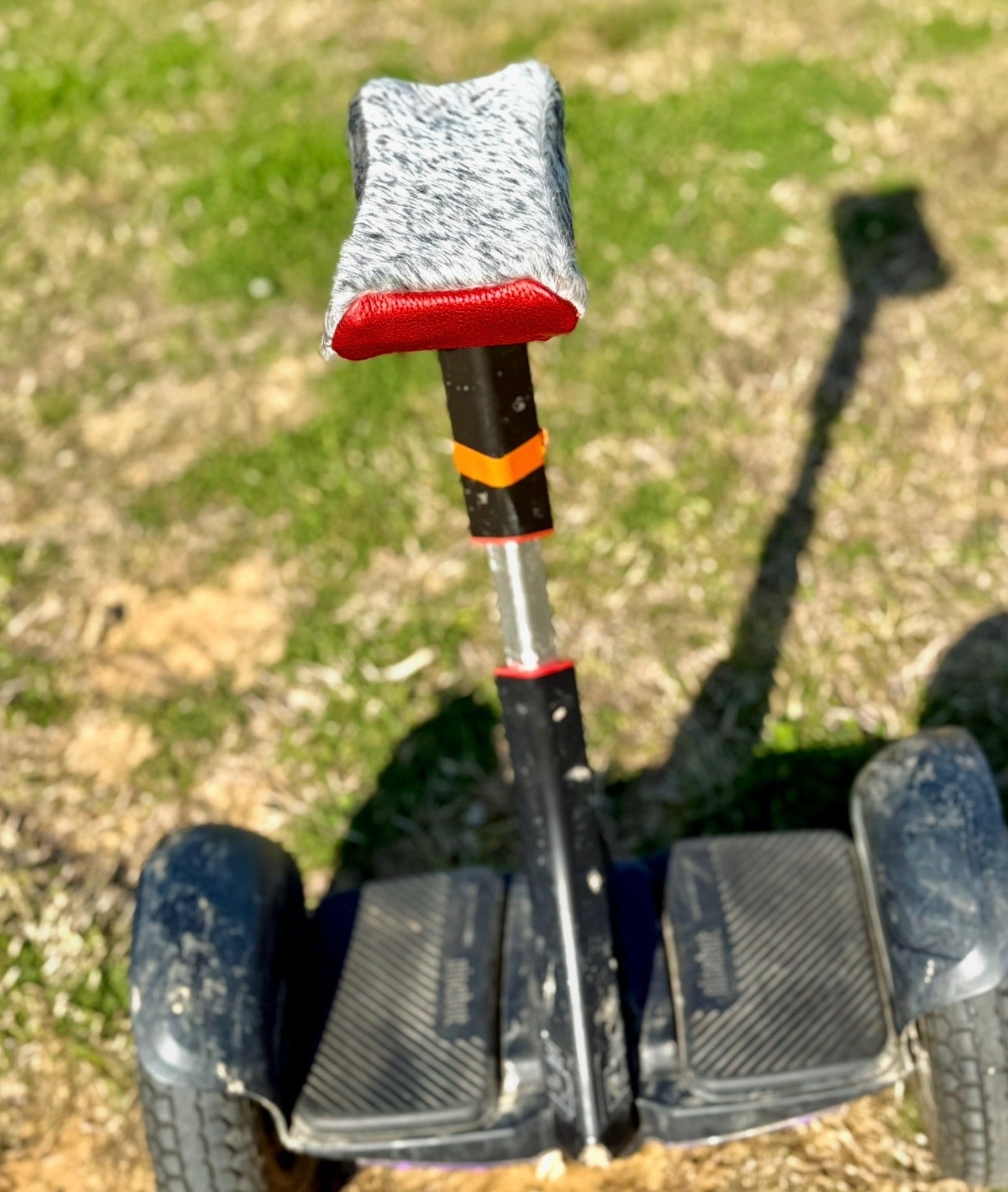 Segway cover