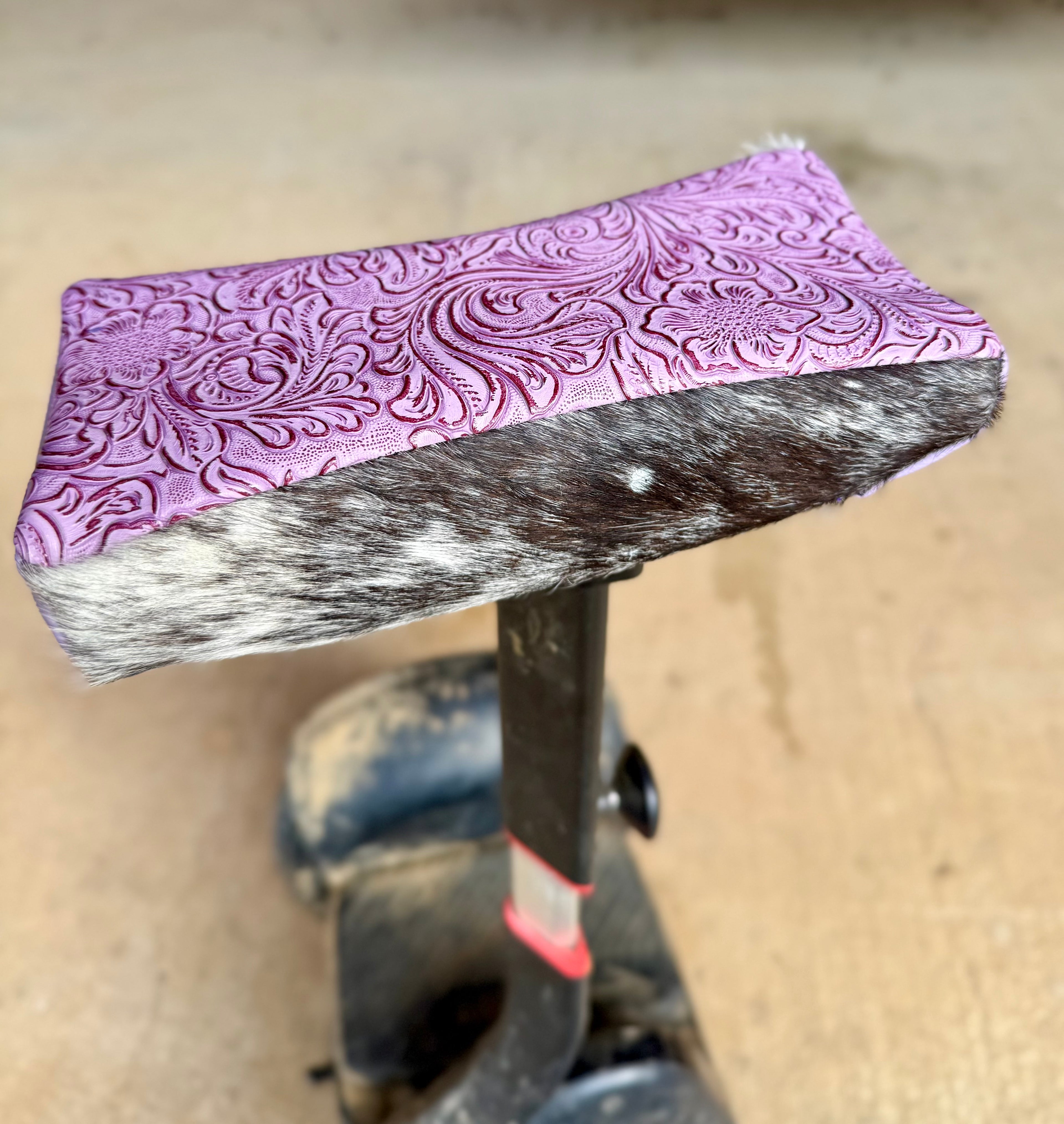Segway cover