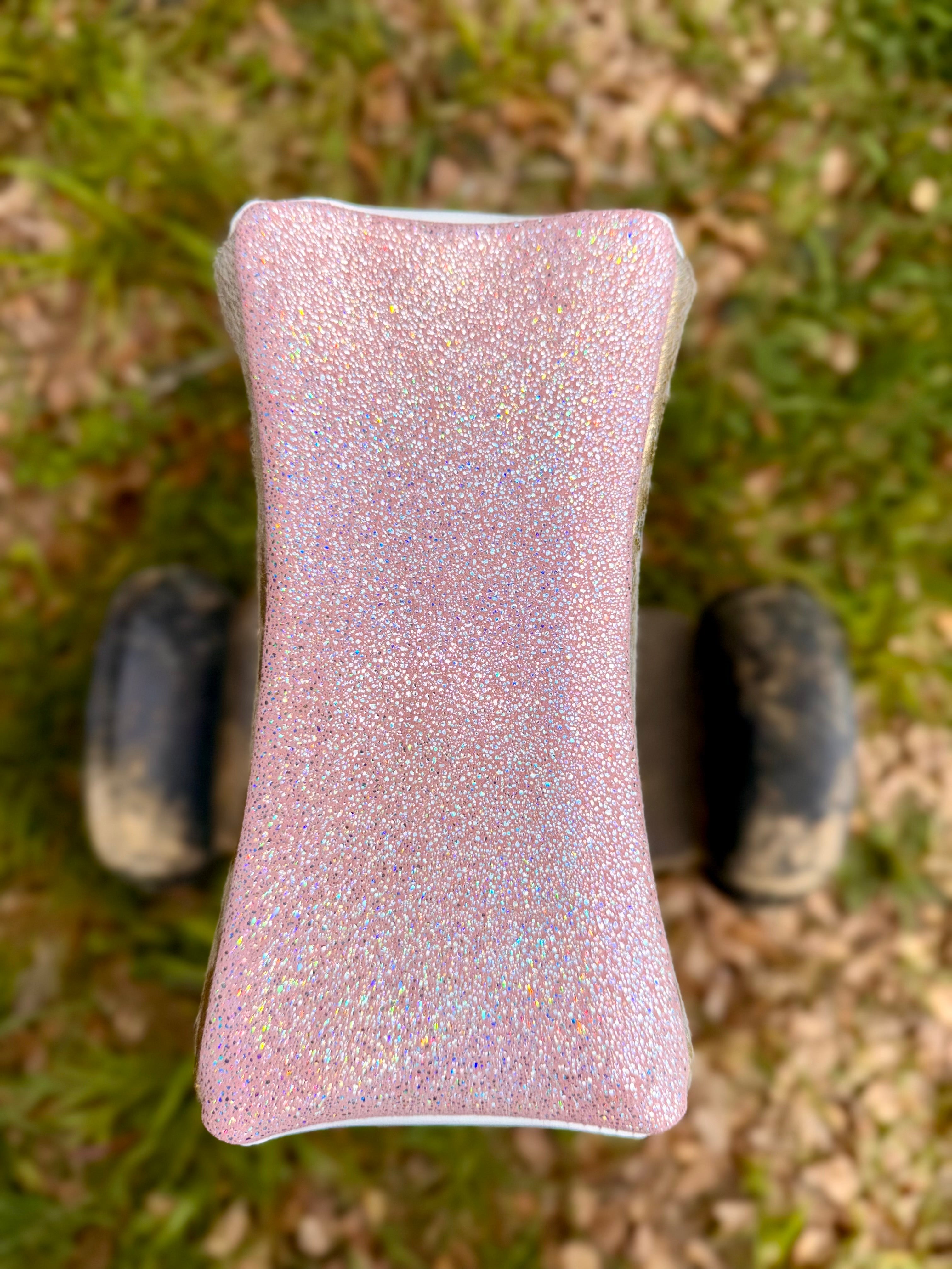 Segway cover