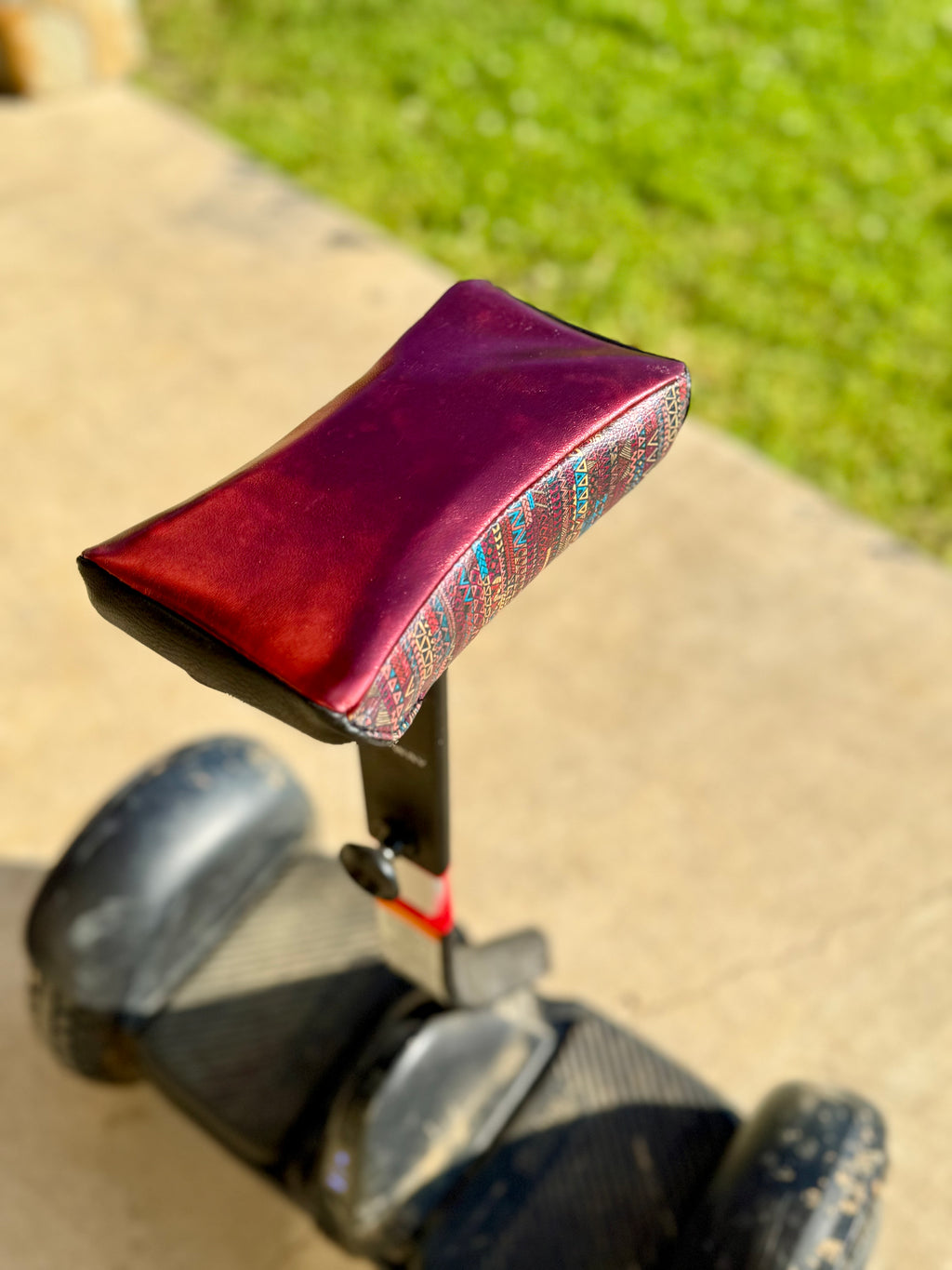 Segway cover
