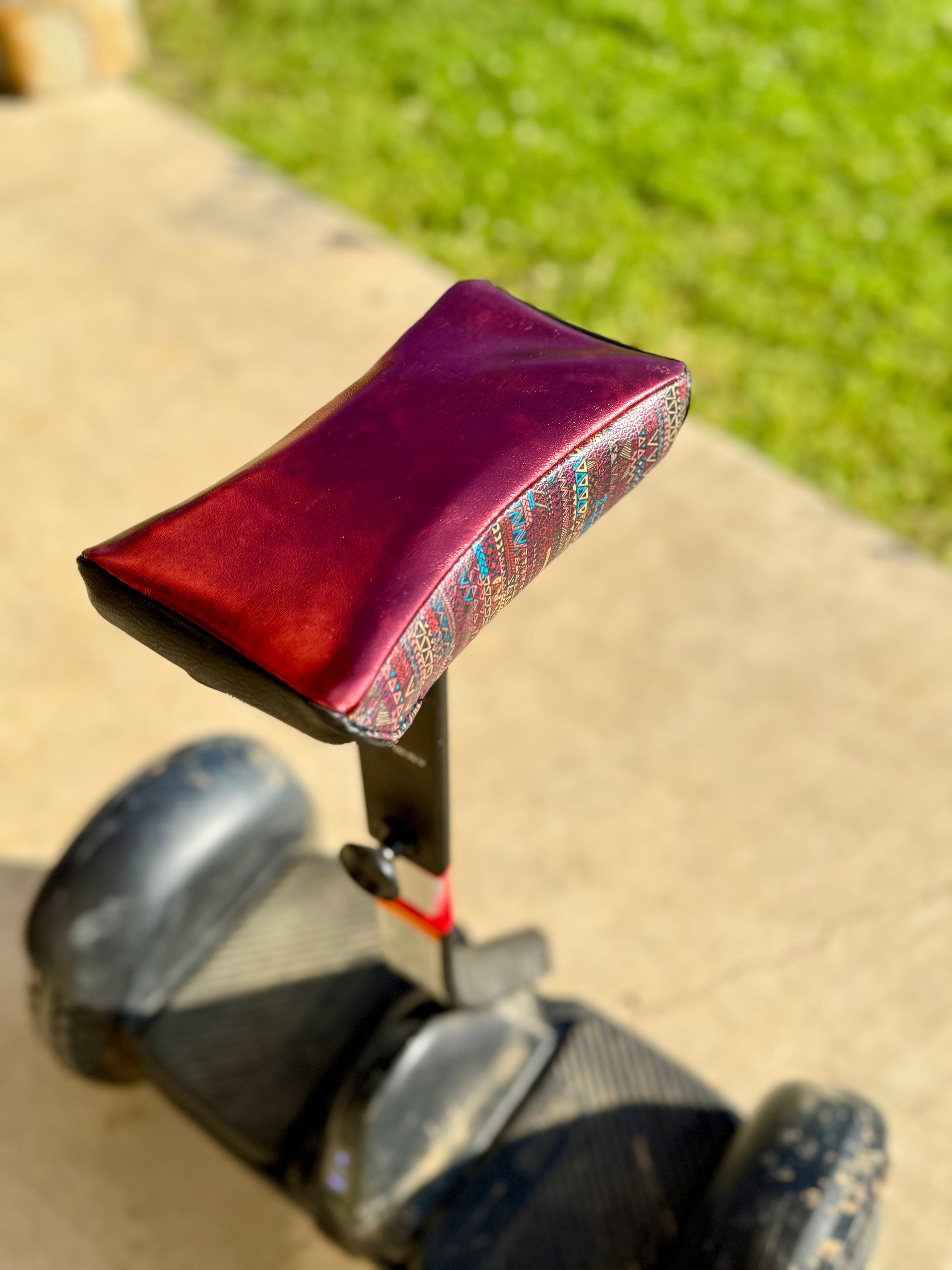 Segway cover