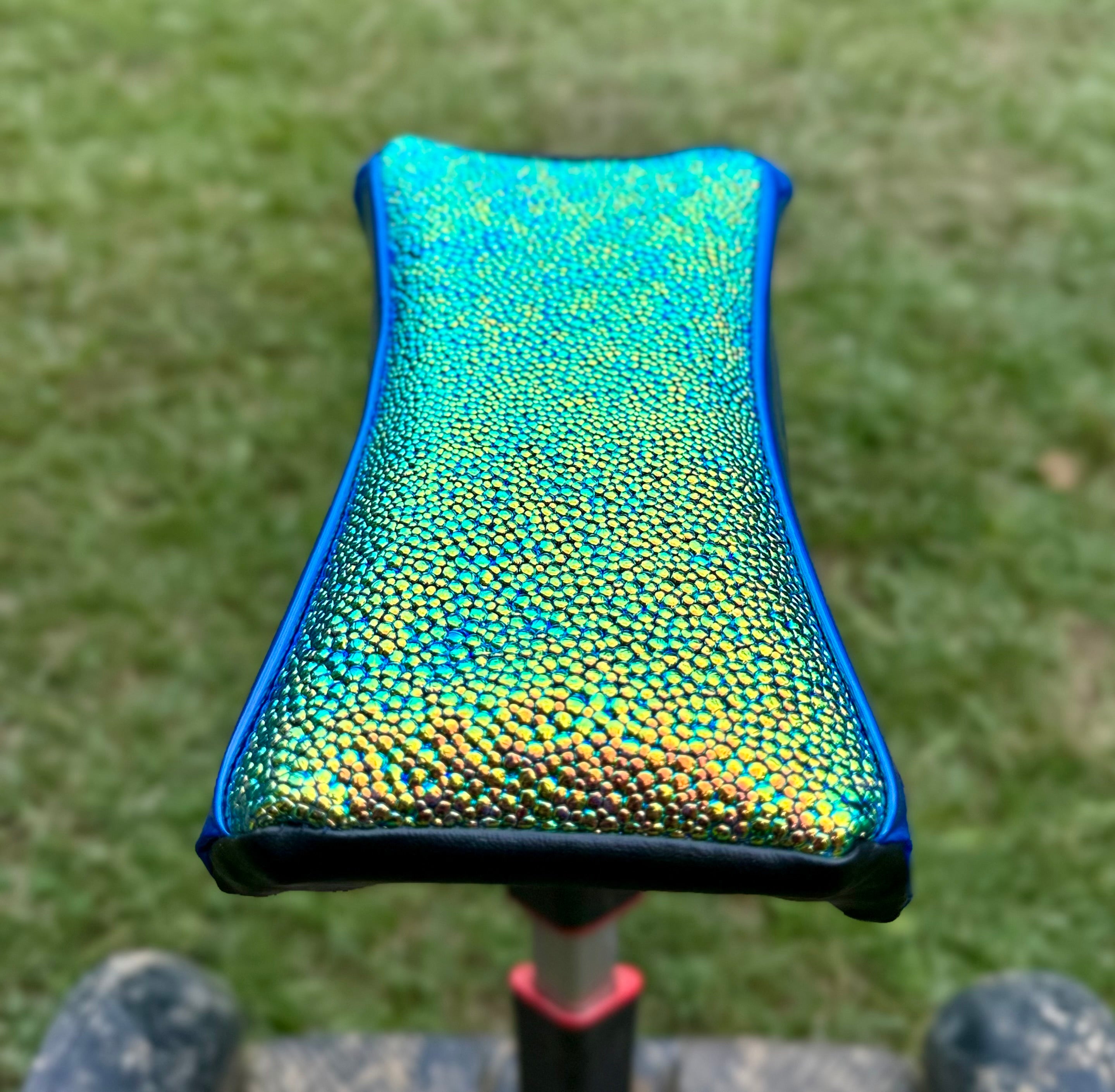 Segway Cover